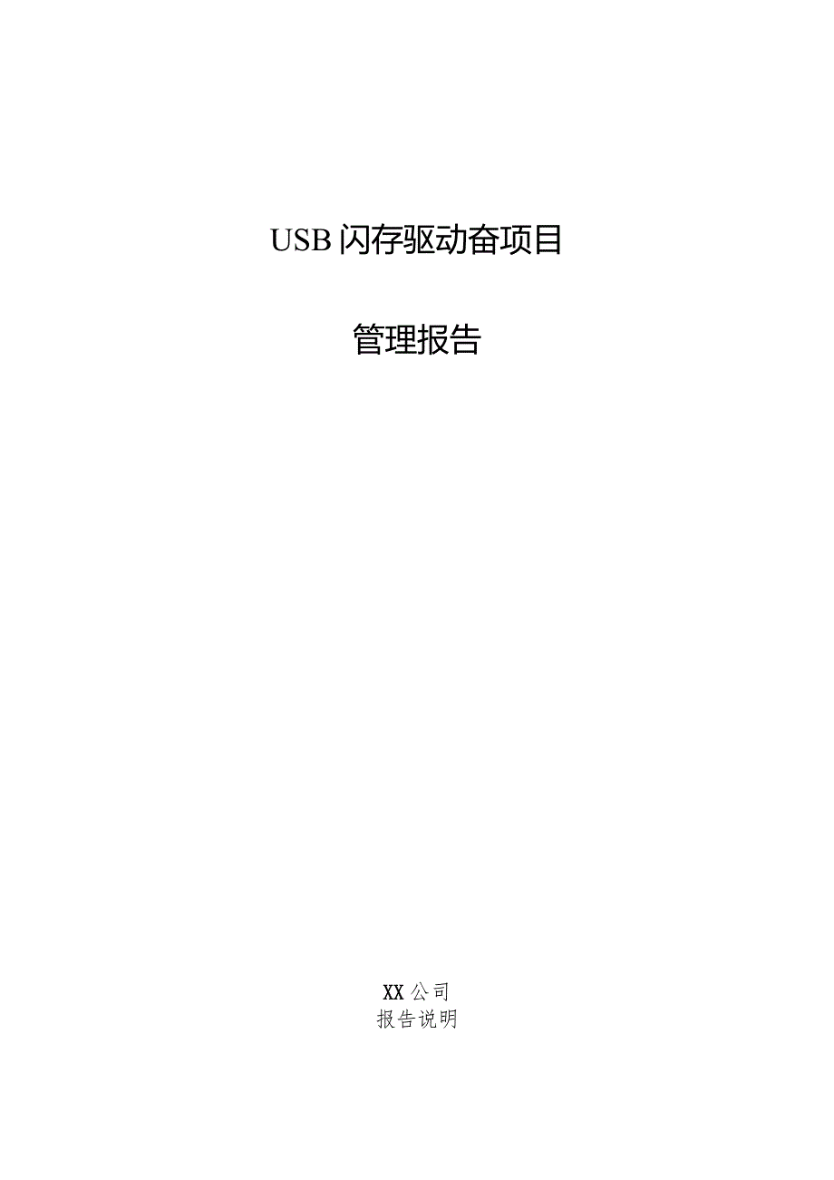 USB闪存驱动器项目管理报告.docx_第1页