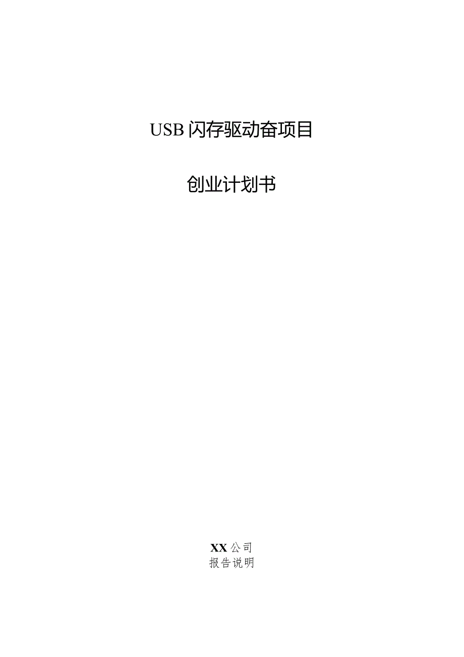 USB闪存驱动器项目创业计划书.docx_第1页