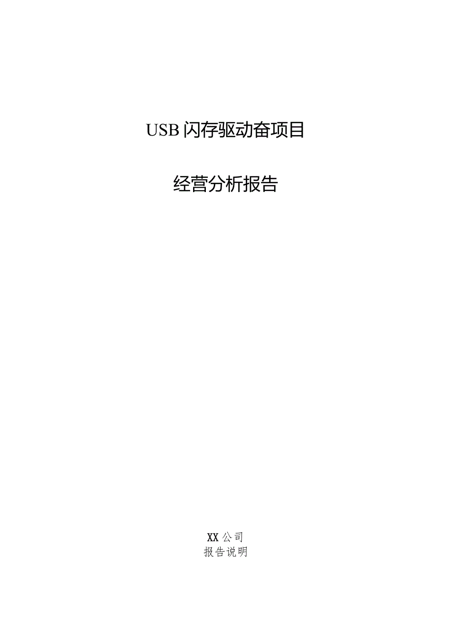 USB闪存驱动器项目经营分析报告.docx_第1页