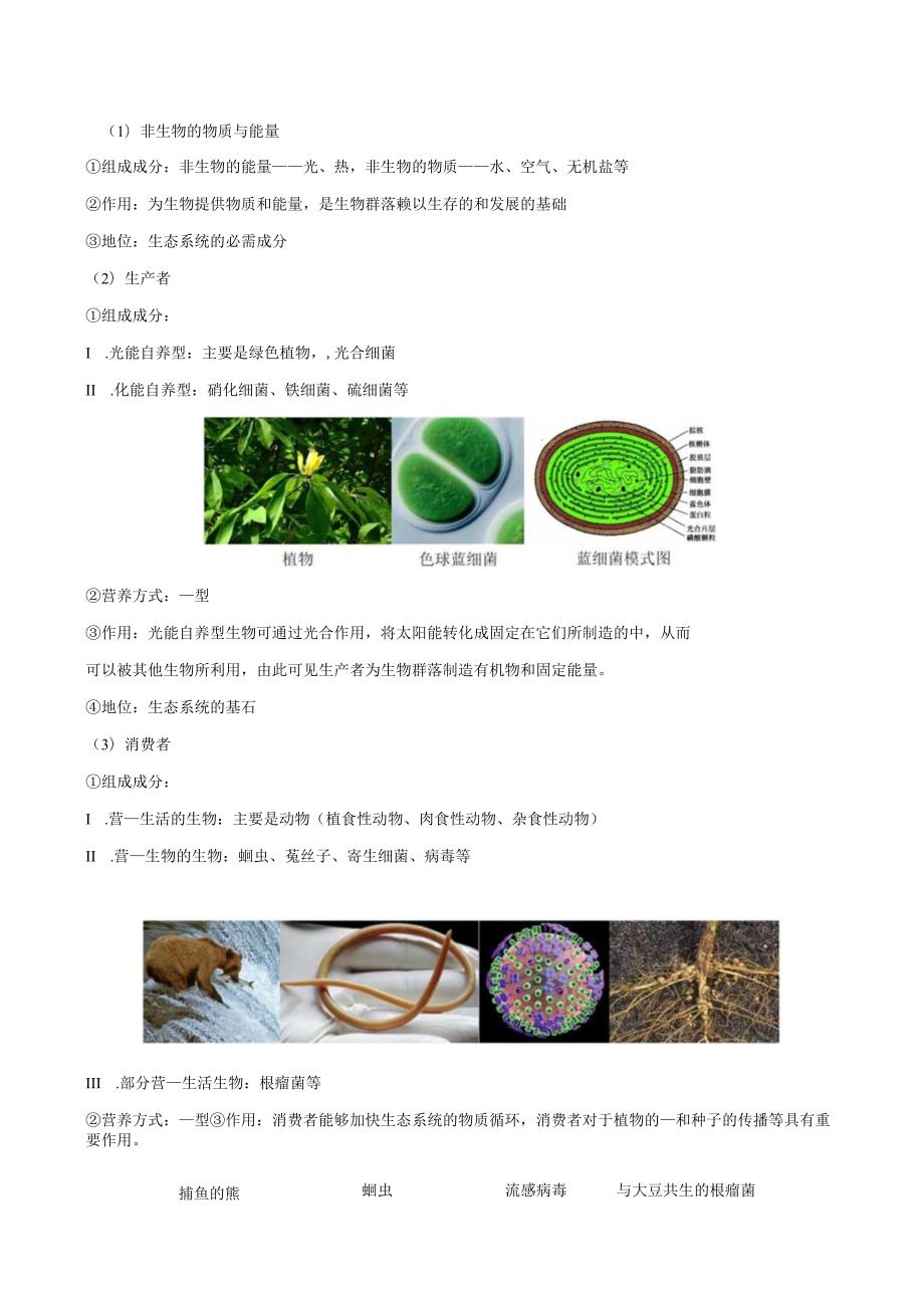 3.1生态系统的结构（学生版）.docx_第3页