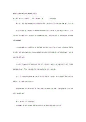 SEO优化方案打造高效大型网站推广计划.docx