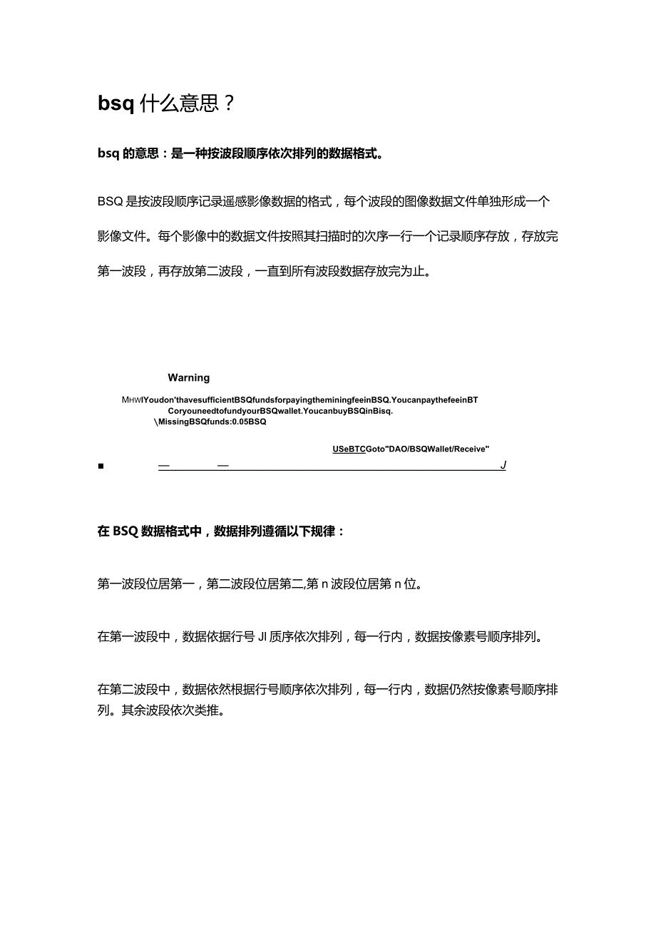 bsq什么意思.docx_第1页