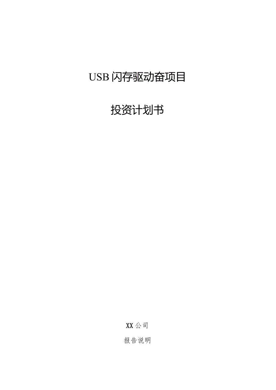 USB闪存驱动器项目投资计划书.docx_第1页