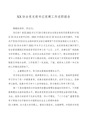 XX协会党支部书记党建工作述职报告.docx