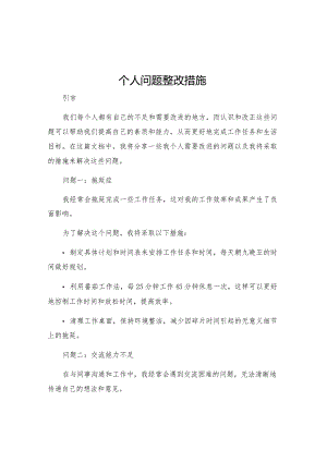 个人问题整改措施.docx