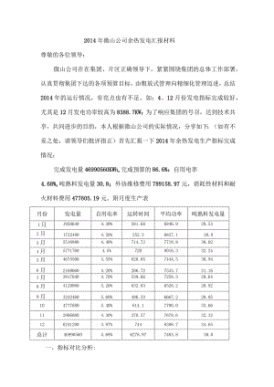 山水水泥微山公司余热发电技术交流汇报材料.docx