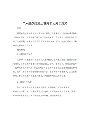 个人整改措施土管局书记局长范文.docx