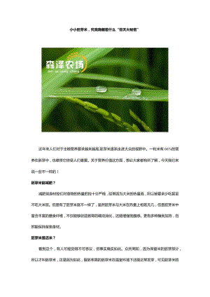 小小胚芽米究竟隐藏着什么“惊天大秘密”.docx