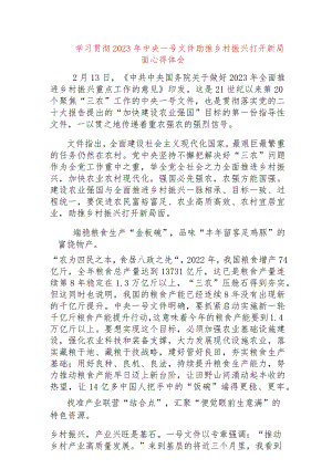 【最新党政公文】学习贯彻2023年中央一号文件助推乡村振兴打开新局面心得体会（完成版）.docx