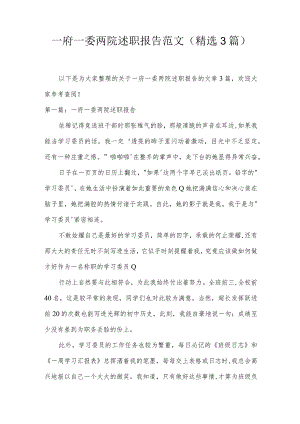 一府一委两院述职报告范文(精选3篇).docx