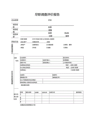 尽职调查评价报告.docx