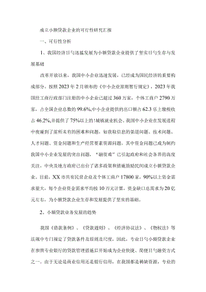 小额贷款公司成立的可行性研究报告.docx