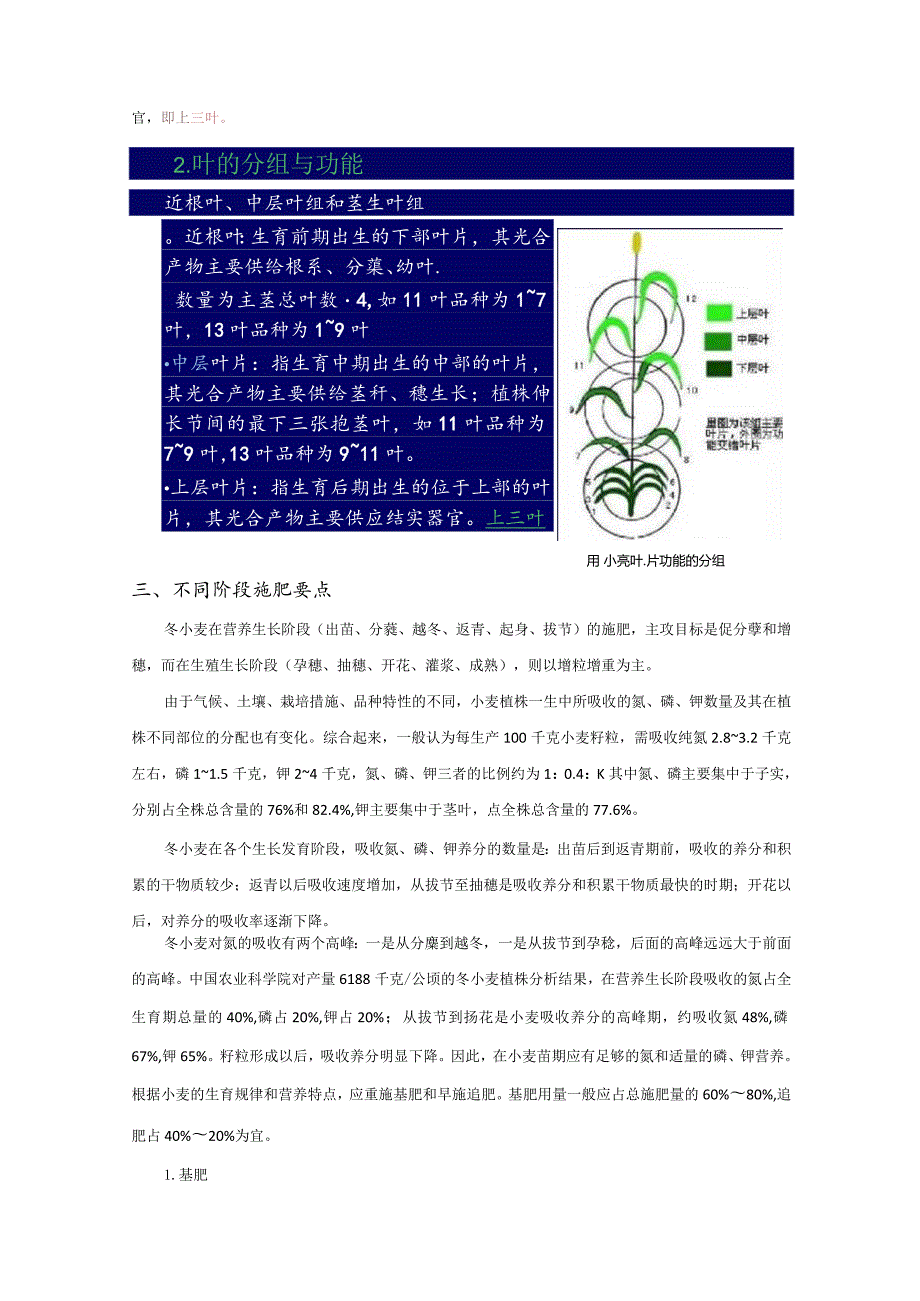 小麦种植和管理技术要点.docx_第3页