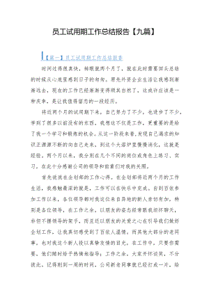 员工试用期工作总结报告【九篇】.docx