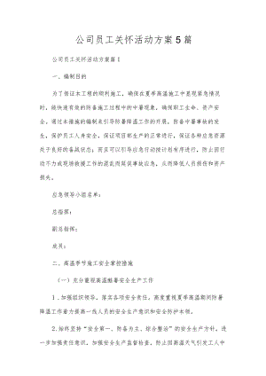 公司员工关怀活动方案5篇.docx