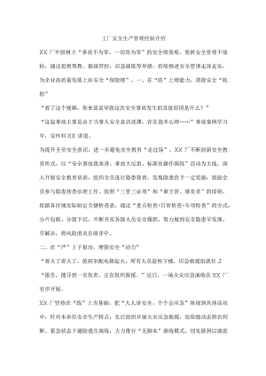 工厂安全生产管理经验介绍.docx