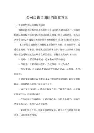 公司级销售团队的组建方案.docx