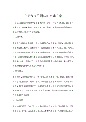 公司级运维团队的组建方案.docx