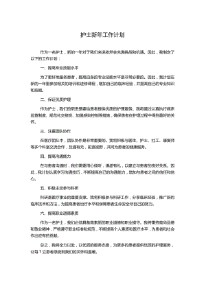 护士新年工作计划.docx