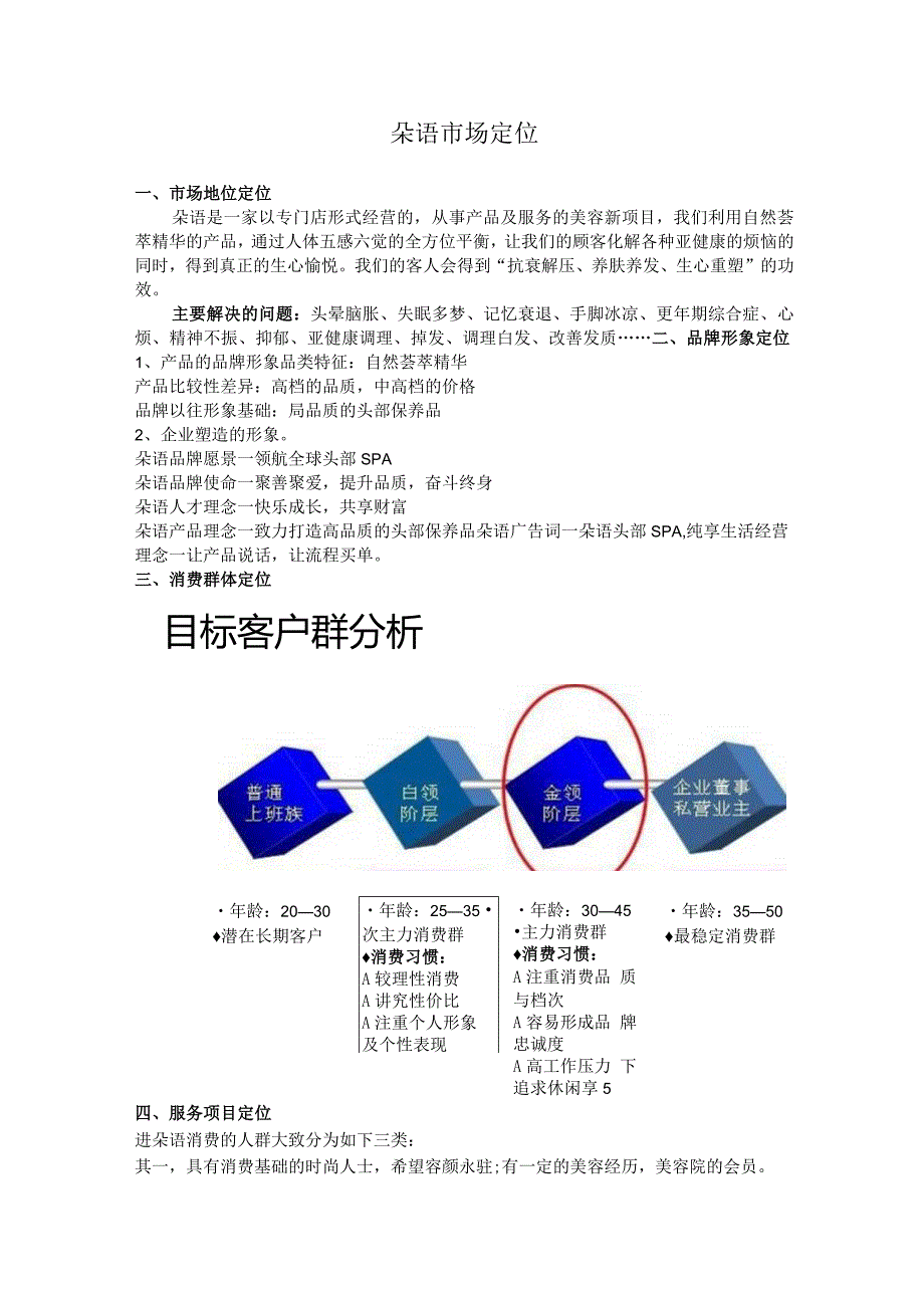 头部美容市场定位.docx_第1页