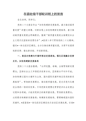 在县处级干部轮训班上的发言.docx