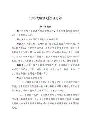 公司战略规划管理办法.docx