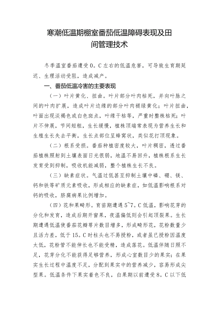 寒潮低温期棚室番茄低温障碍表现及田间管理技术.docx_第1页