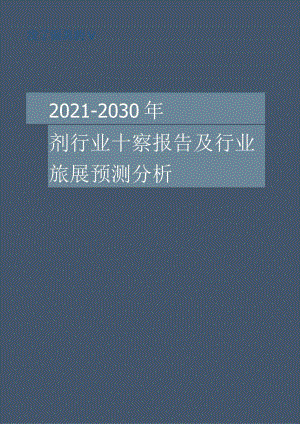 增强填充剂行业2021-2030十年发展洞察报告及行业发展预测分析.docx