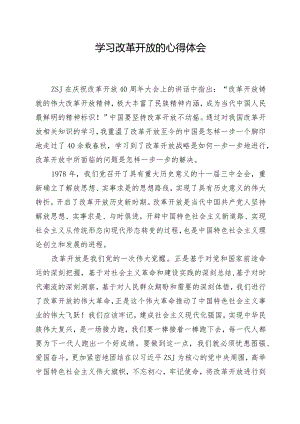 学习改革开放的心得体会.docx