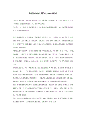 升起心中的太阳作文800字初中.docx