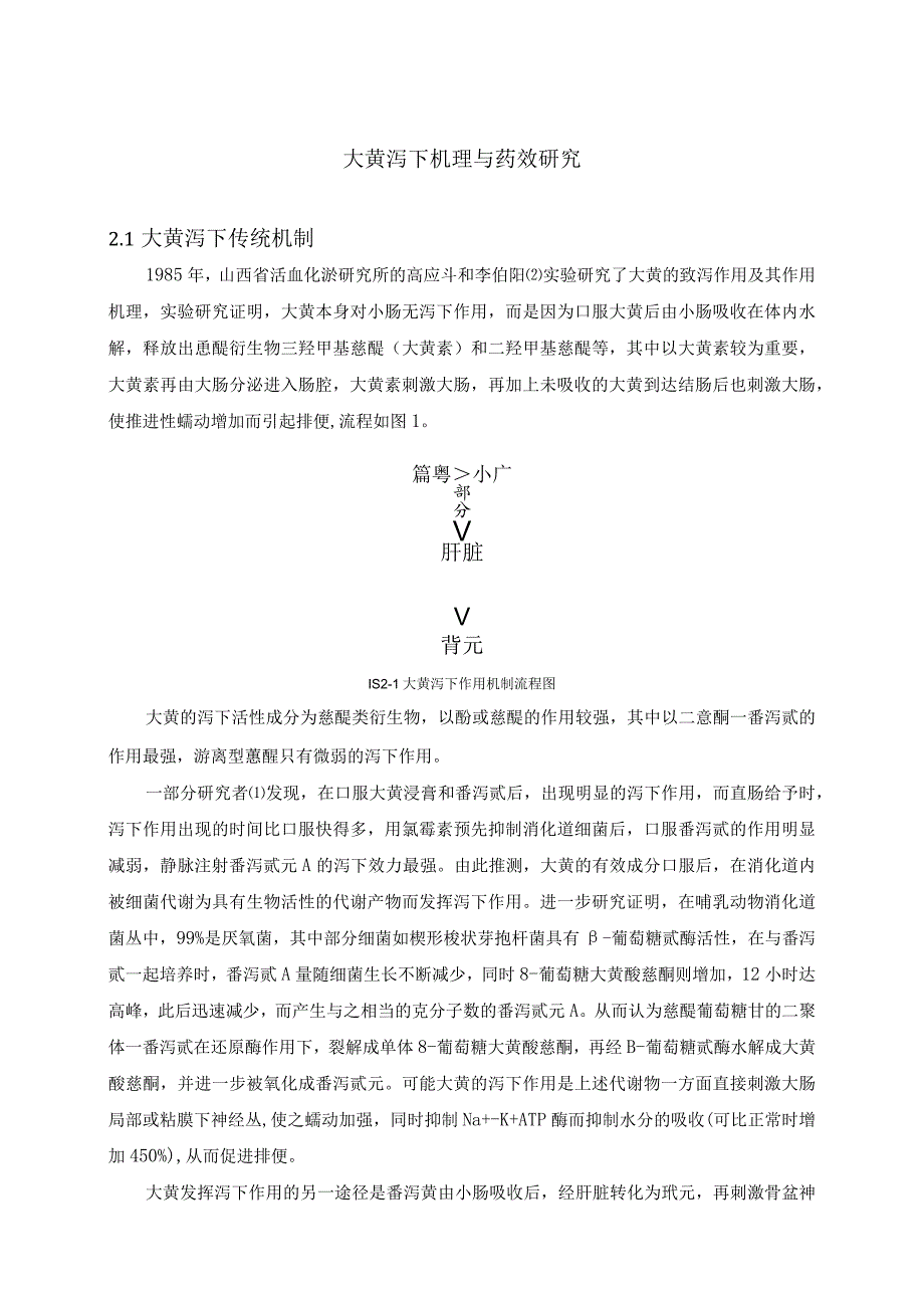 大黄泻下机理与药效研究.docx_第1页