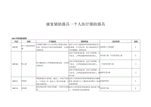 康复辅助器具—个人医疗辅助器具.docx