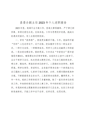 县委办副主任2023-2024年个人述职工作总结报告.docx