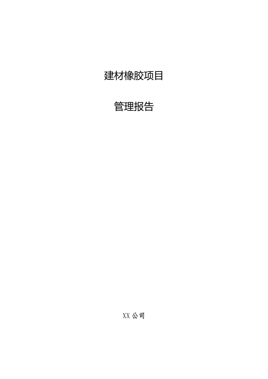 建材橡胶项目管理报告.docx_第1页