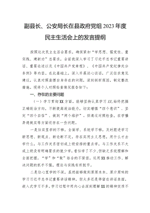 副县长、公安局长在县政府党组2023年度民主生活会上的发言提纲.docx