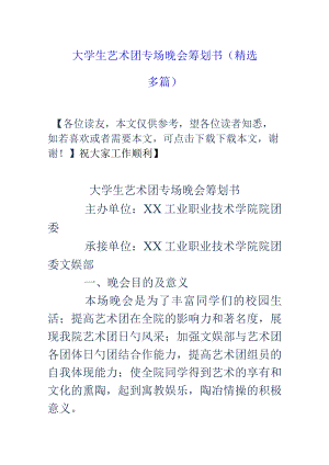 大学生艺术团专场晚会精选策划书.docx