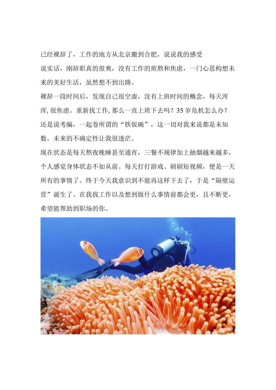 已经裸辞了工作的地方从北京搬到合肥说说我的感受.docx_第1页