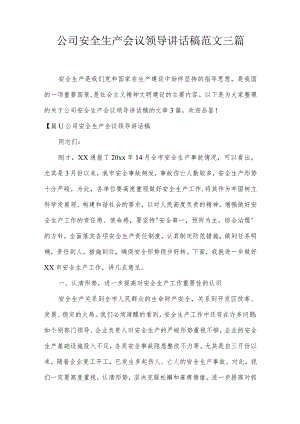 公司安全生产会议领导讲话稿范文三篇.docx