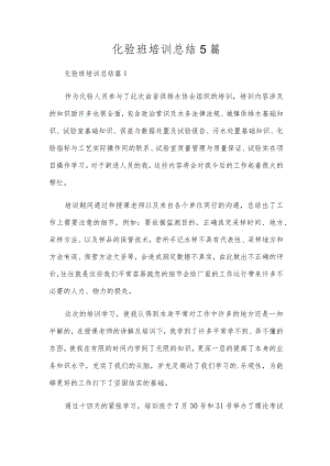 化验班培训总结5篇.docx