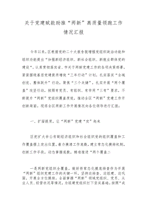 关于党建赋能助推“两新”高质量领跑工作情况汇报.docx