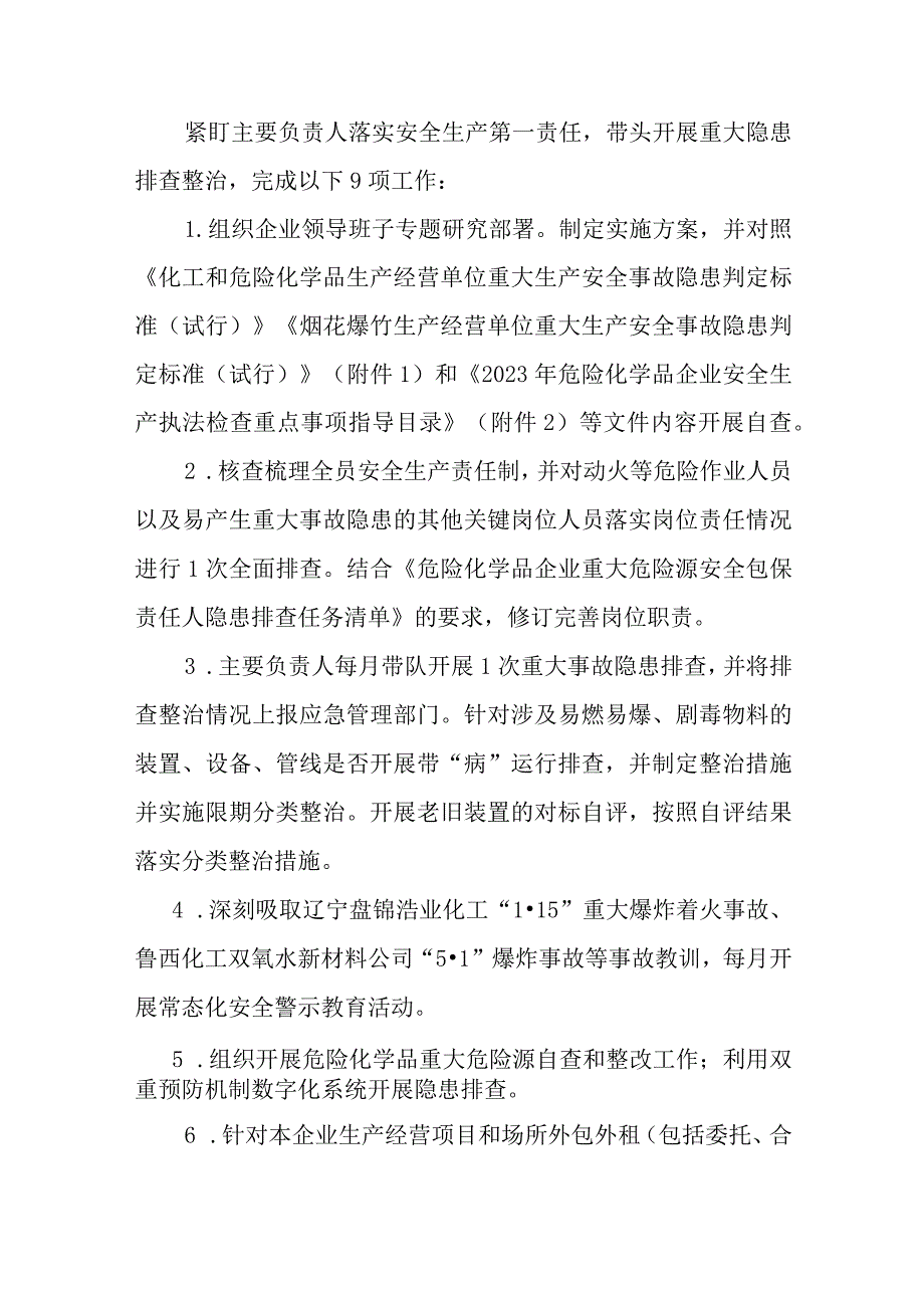 公司重大事故隐患专项排查整治2023行动方案.docx_第2页