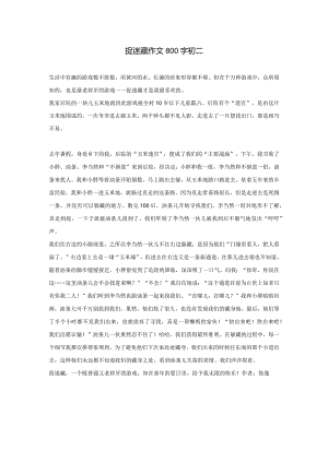 捉迷藏作文800字初二.docx