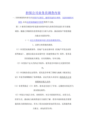 担保公司业务员尽职调查内容.docx