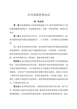 公司风险管理办法.docx