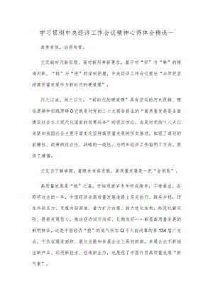 学习贯彻中央经济工作会议精神心得体会精选一.docx