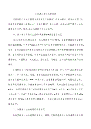 公司法治建设工作总结.docx