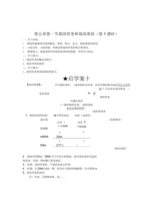 基因突变和基因重组导学案.docx