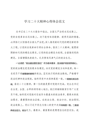 学习二十大精神心得体会范文.docx