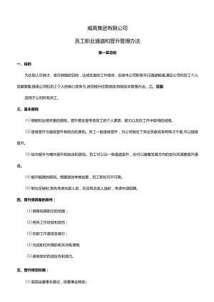 威高集团员工职业通道和晋升管理办法.docx