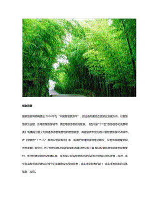 宜宾市智慧旅游总体规划.docx